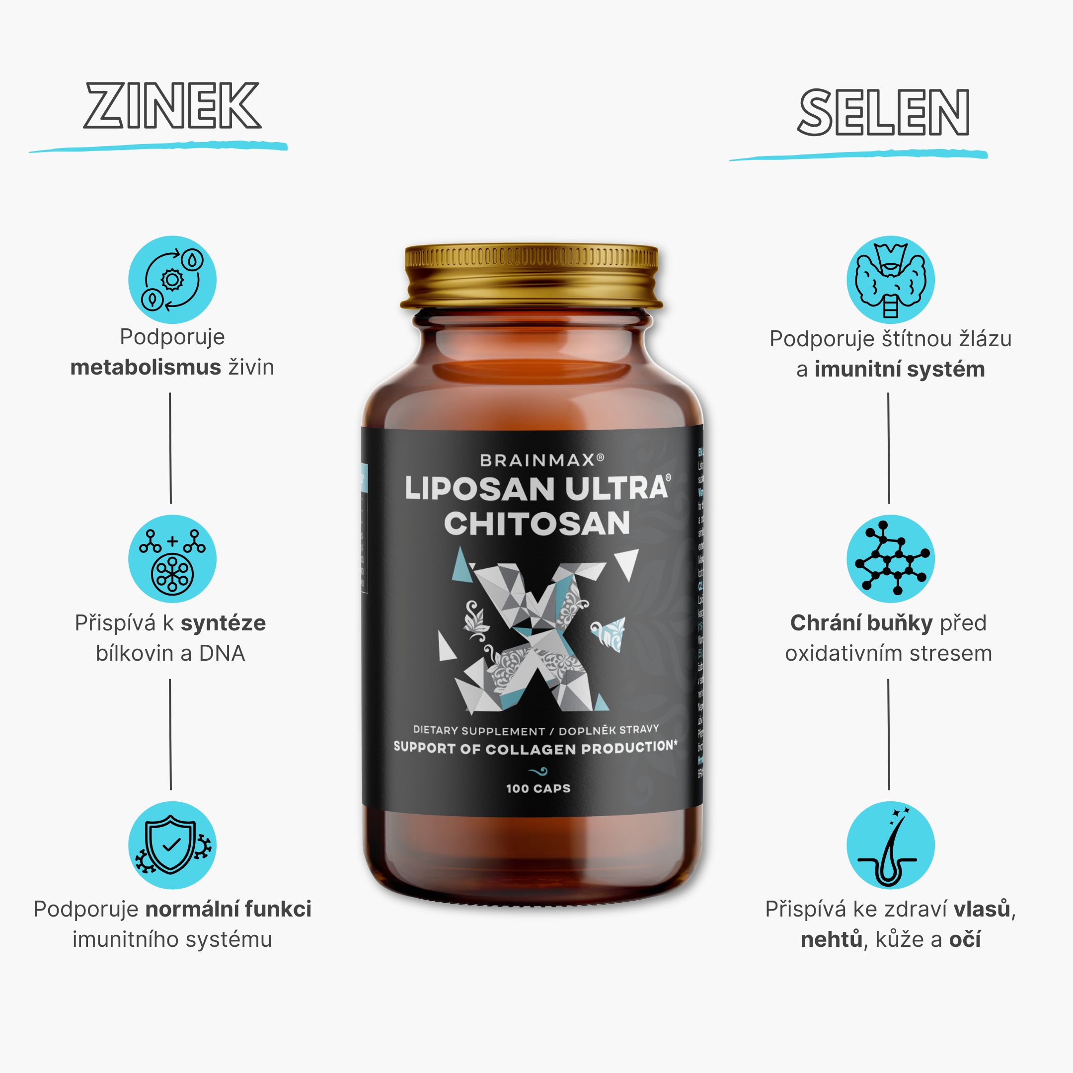 info chitosan
